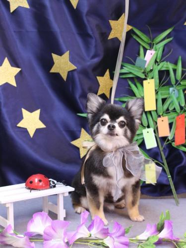 20230713らくくん